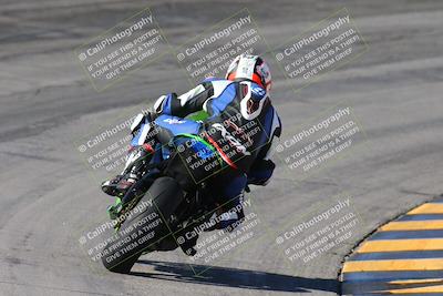 media/Feb-04-2024-SoCal Trackdays (Sun) [[91d6515b1d]]/4-Bowl Backside (11am)/